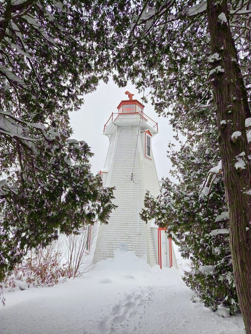 Big Tub Lighthouse seen through snow-laden cedar branches on an overcast January afternoon