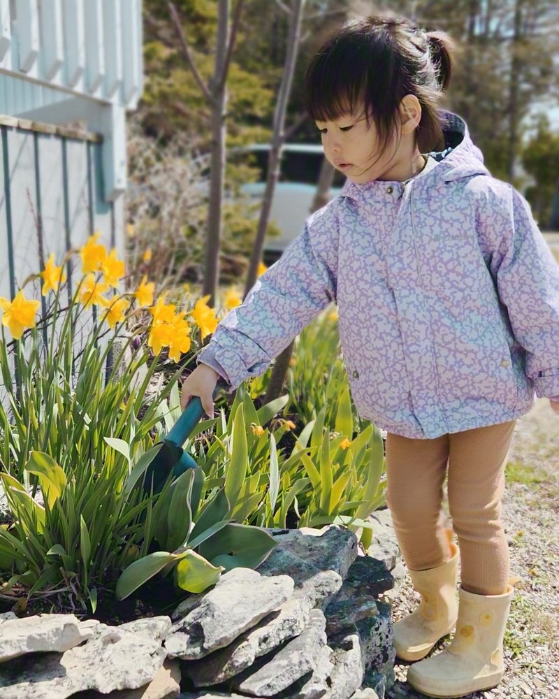 Emmy in a lilac rain jacket and yellow boots, digging with a trowel in the rock garden beside blooming daffodils