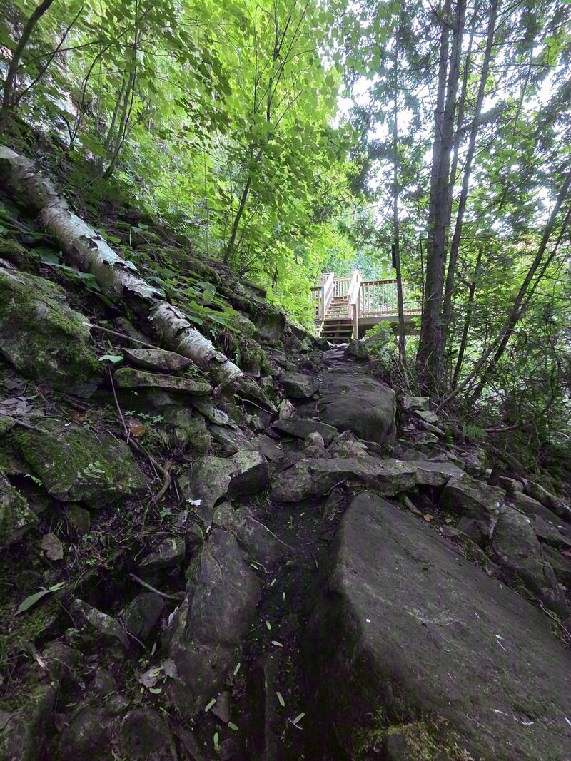 The wooden staircase descending the rocky escarpment through trees toward the shore