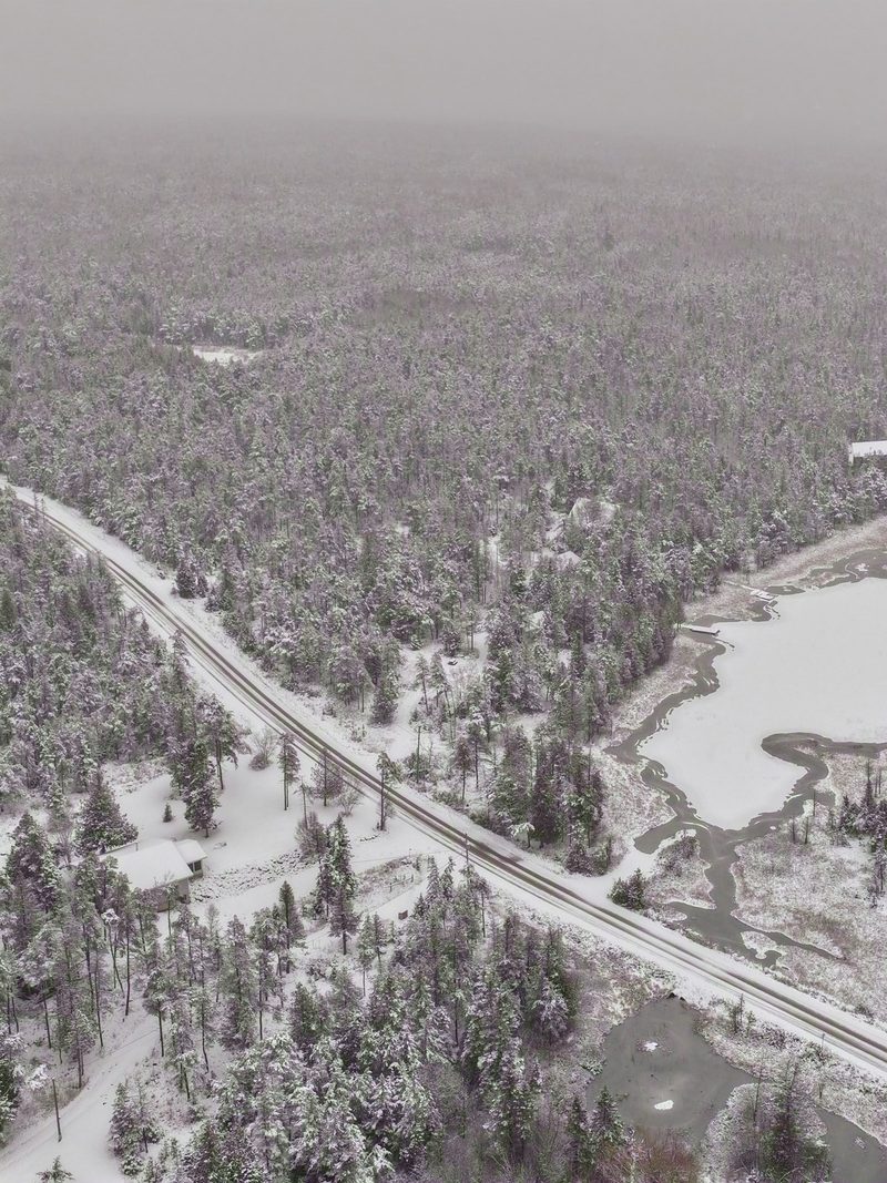 The peninsula from above under the first snow of the season, forest to the horizon with a road cutting through and a half-frozen wetland