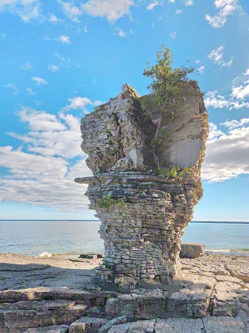 A flowerpot rock column with cedars growing out of its cap above the limestone shore
