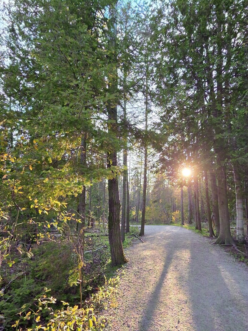 The wide gravel Georgian Bay Trail running flat through mixed forest with low evening sun through the trees
