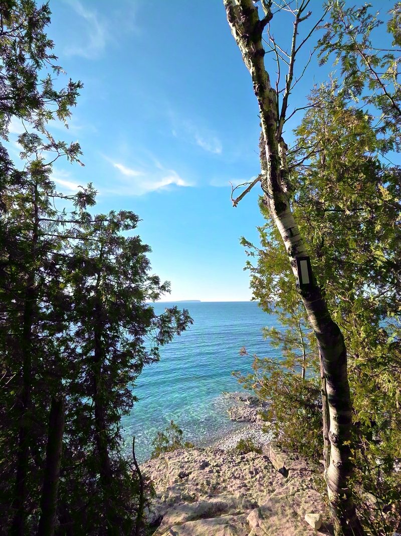 A view down through cedars and birch to the turquoise shoreline from the Grotto trail