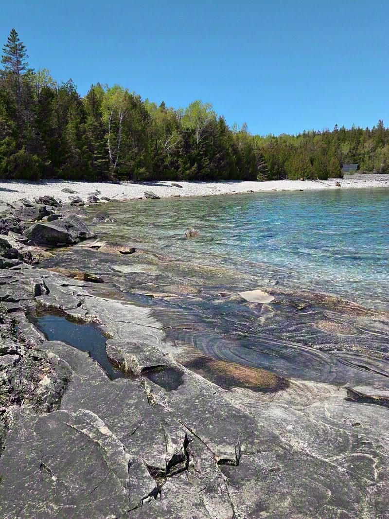 A wide flat limestone shelf with swirled markings at the water's edge at Little Cove, with the white cobble beach and forest behind it