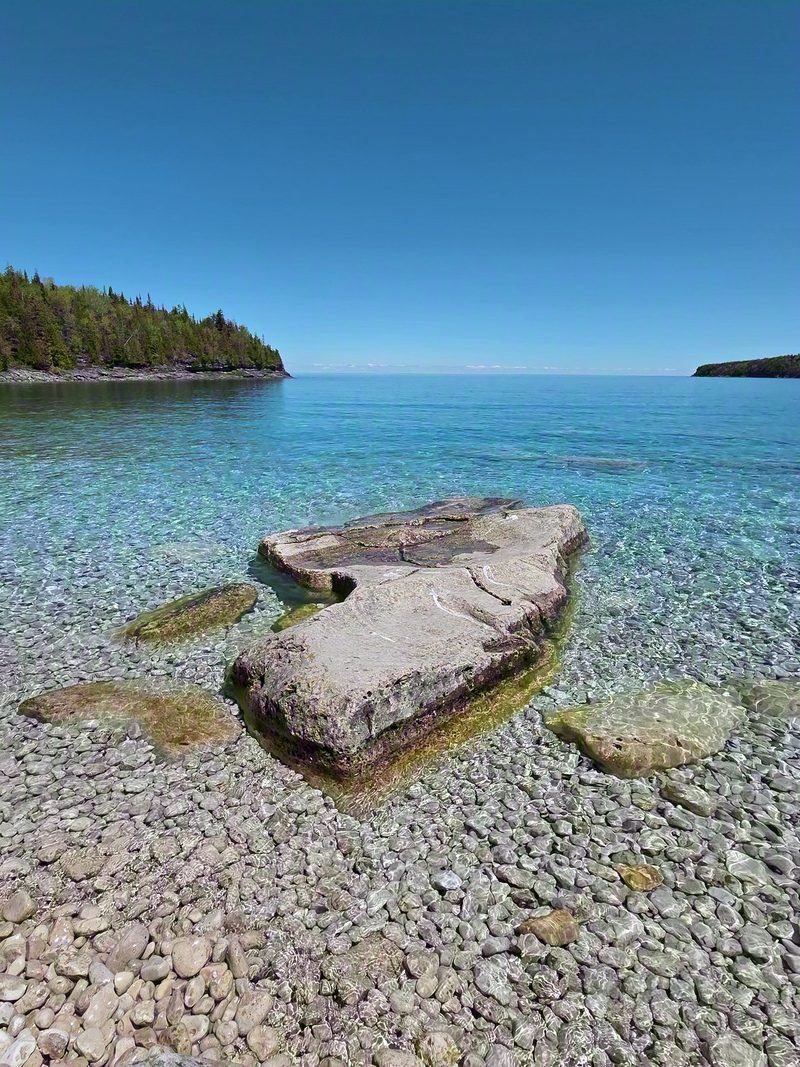 A flat limestone slab lying in clear turquoise shallows at Little Cove with a forested headland beyond