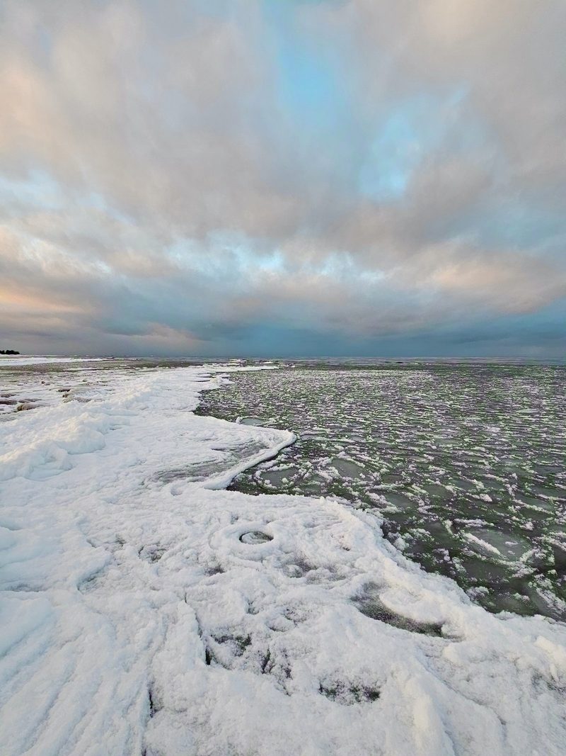 Pancake ice forming on open water beside a snow-covered limestone shore under a dawn sky