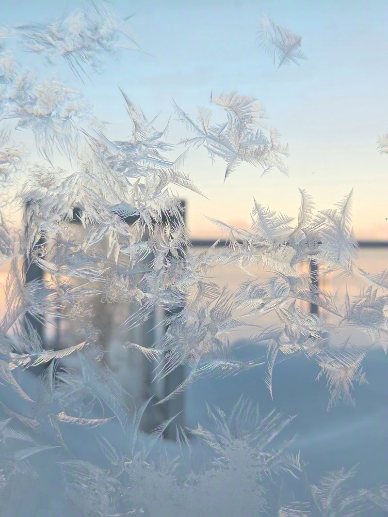 Feather-shaped frost crystals grown across a window pane, lit gold by the dawn behind
