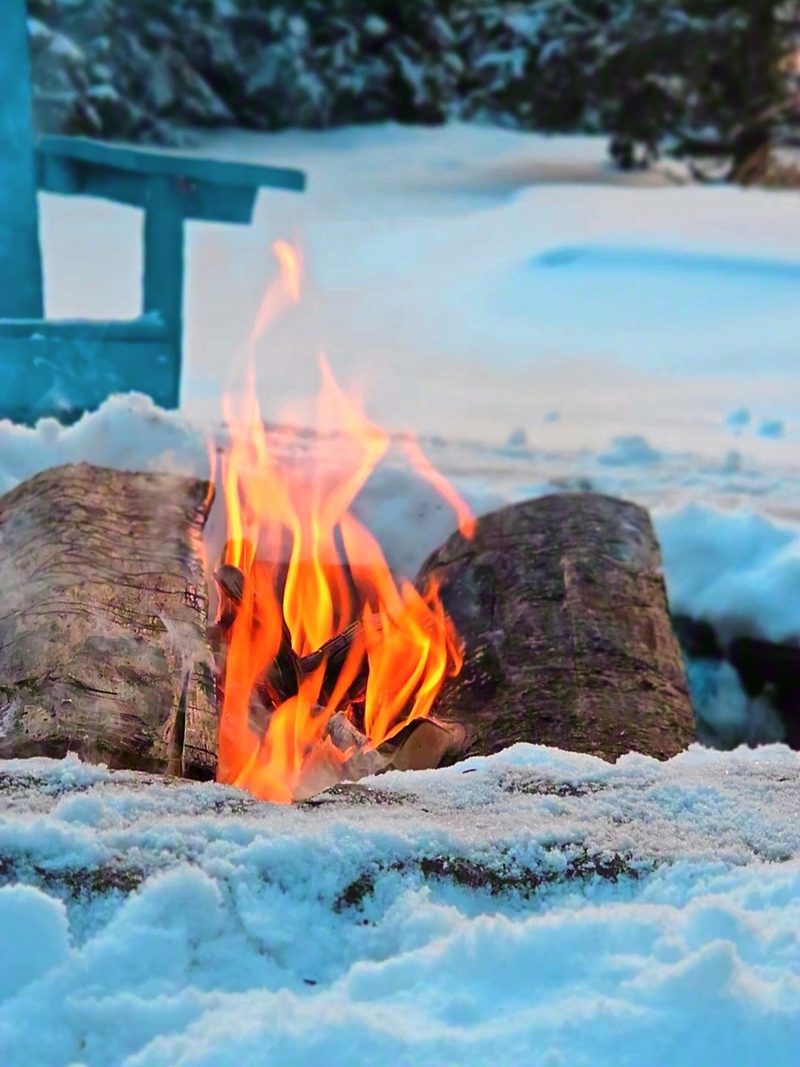 A small campfire burning between 2 logs on packed snow, with deep snow and cedars behind