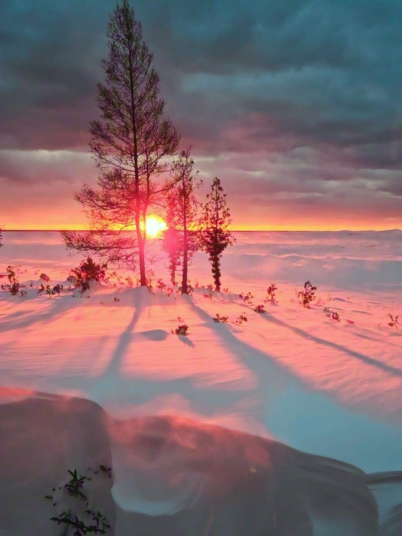 A red winter sunset under storm clouds, seen through bare trees above a frozen snow-covered shore