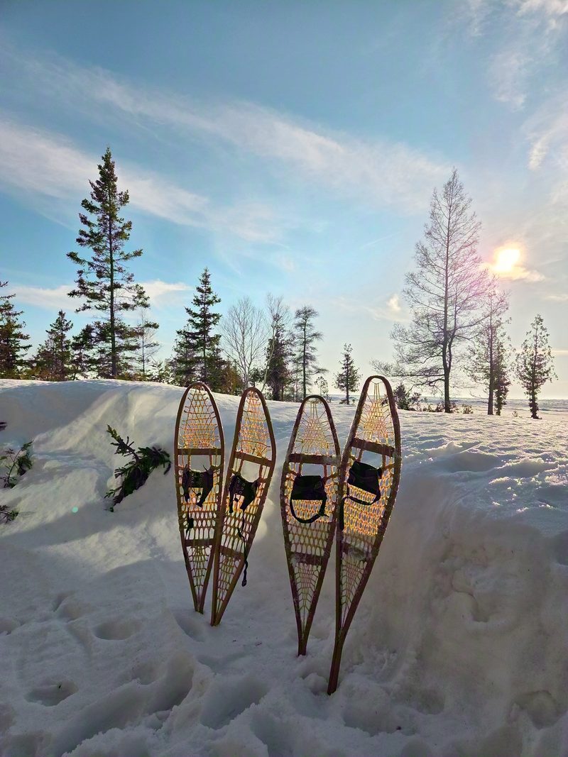 4 traditional wooden snowshoes standing upright in a snowbank, backlit by low sun through pines