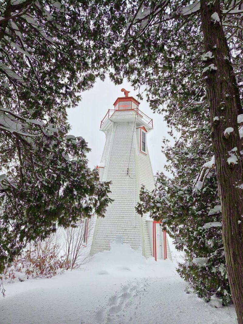 Big Tub Lighthouse framed by snowy cedars with fresh footprints leading to the door