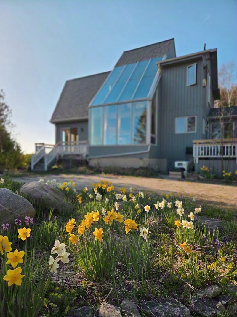 Blue-gray cottage with tall sunroom glazing behind a rock garden full of daffodils