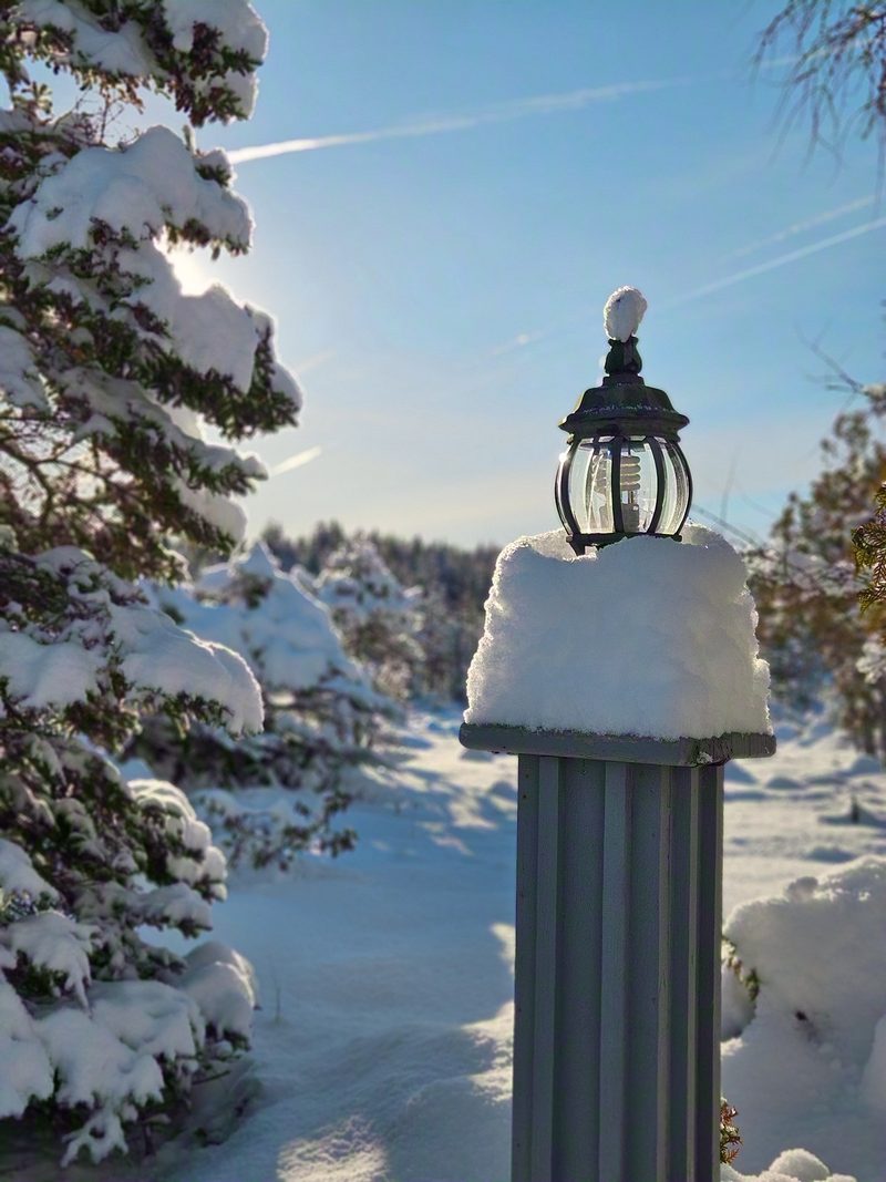 A lantern-style lamp post wearing a thick cap of fresh snow among snow-laden cedars under blue sky