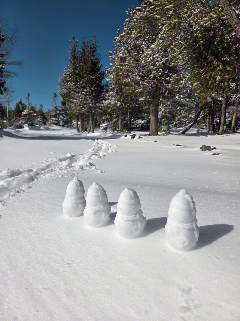 Four small snowmen standing in a row in deep snow beside a packed trail and snow-laden spruces