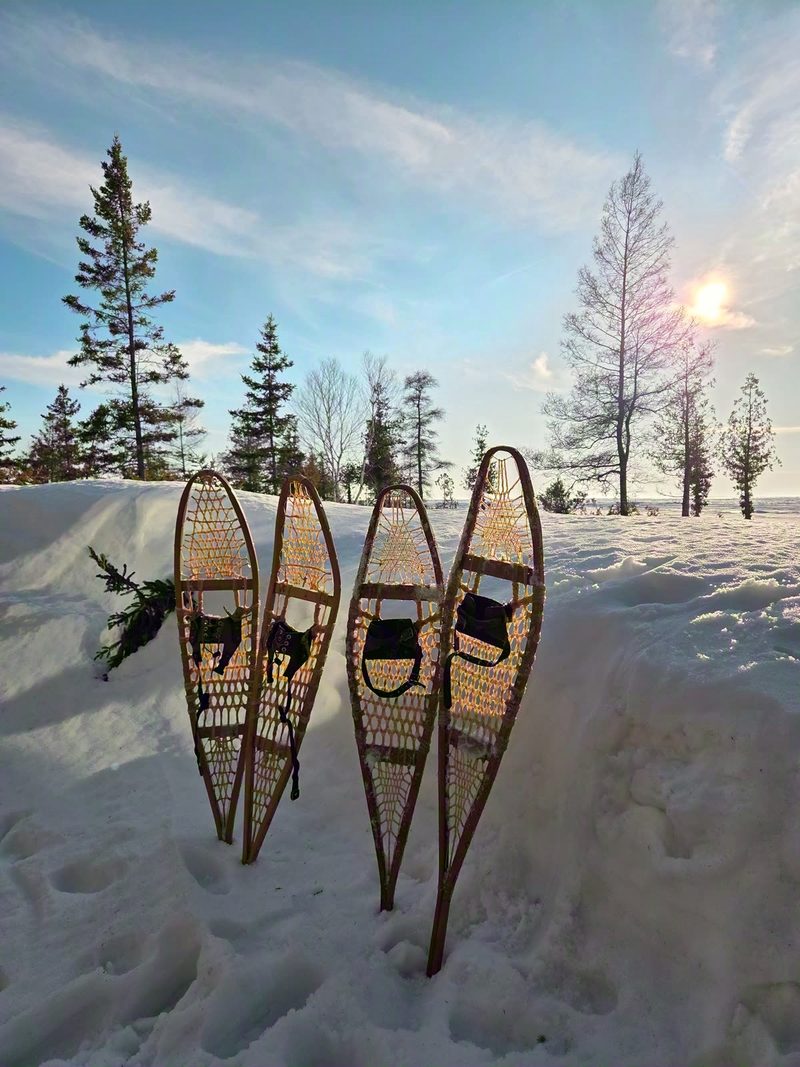 Four traditional wooden snowshoes standing upright in a snowbank at golden hour