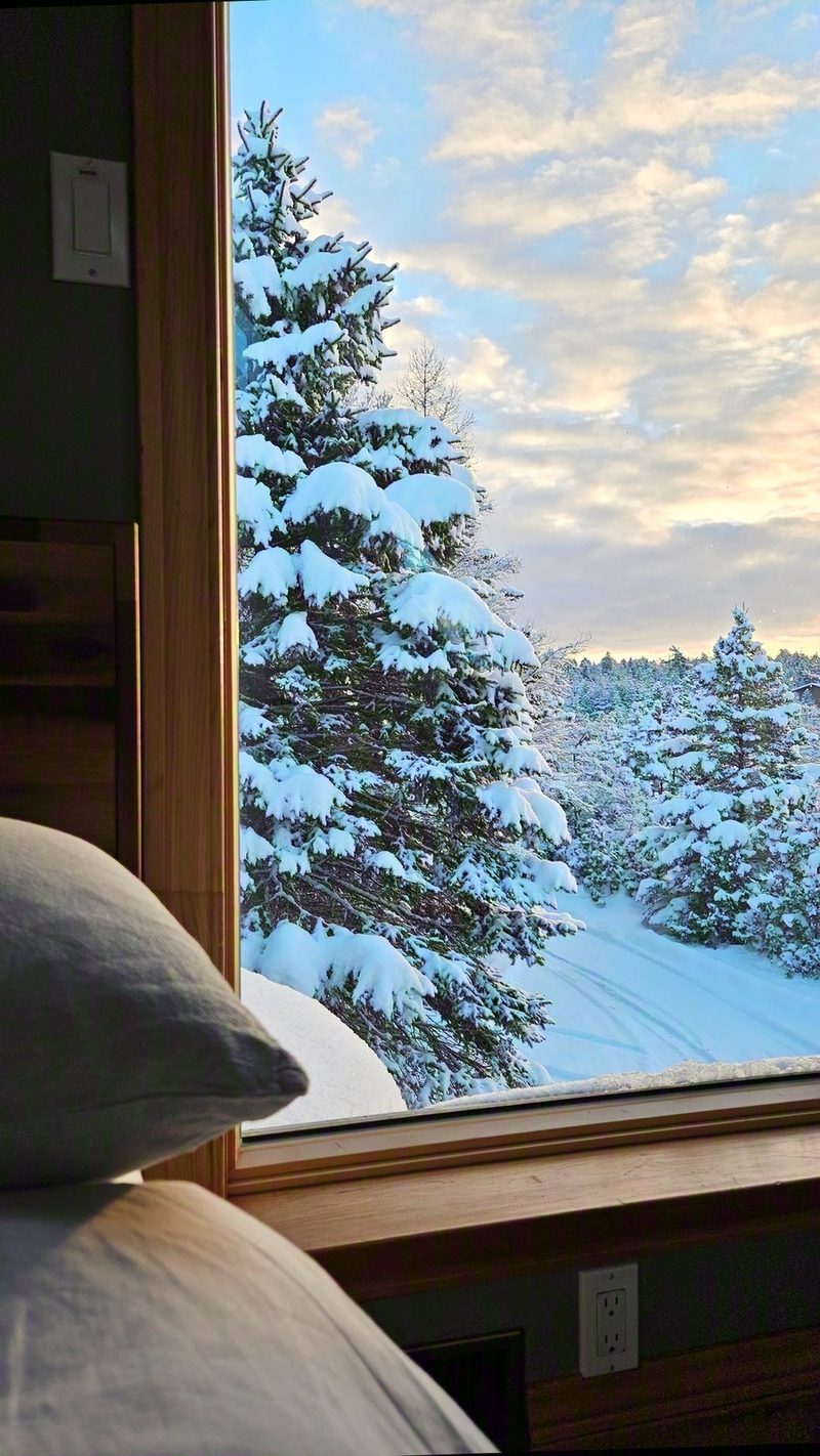 Snow-laden spruce trees seen through a bedroom window past linen pillows