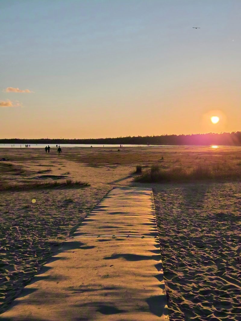 Wooden boardwalk leading through dunes onto the sand flats of Singing Sands at sunset