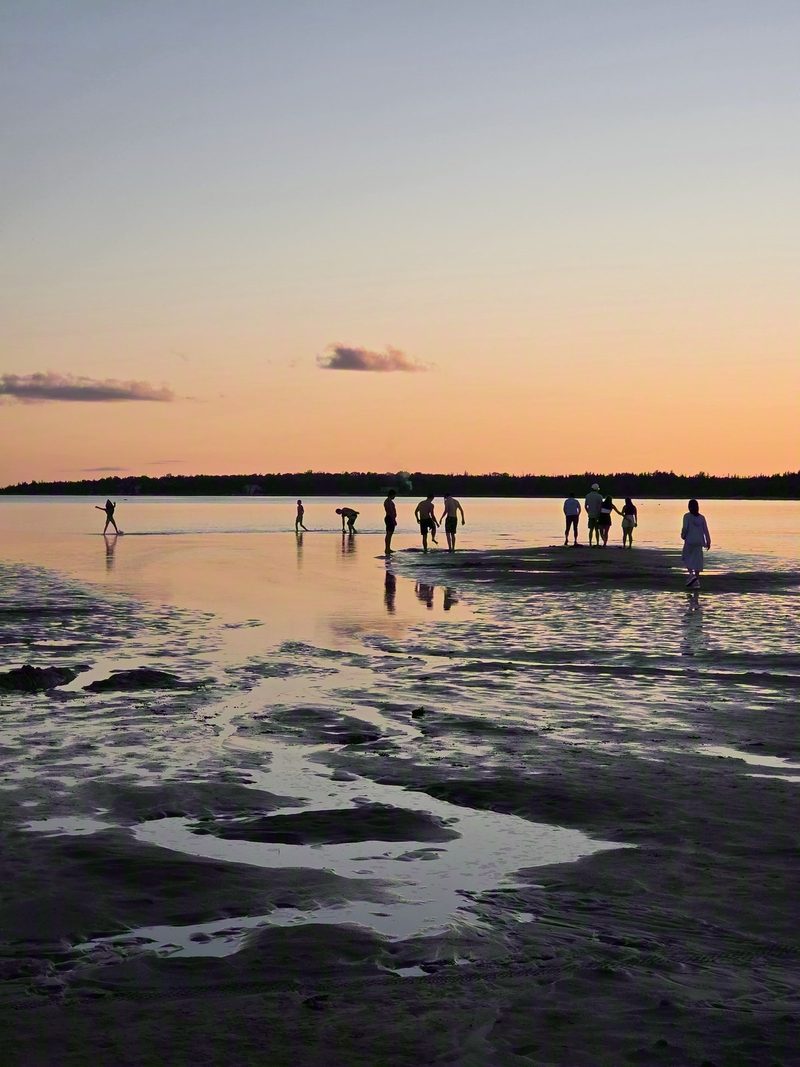 People wading in ankle-deep water far out on the Singing Sands flats at sunset