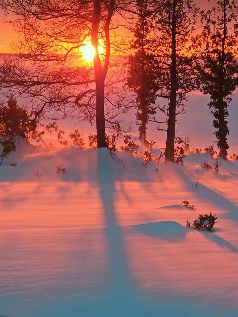 A winter sunset turning wind-blown snow pink, with long tree shadows across the drifts